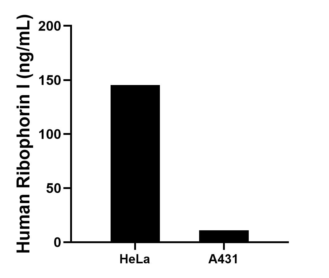 Sample test of MP00231-3